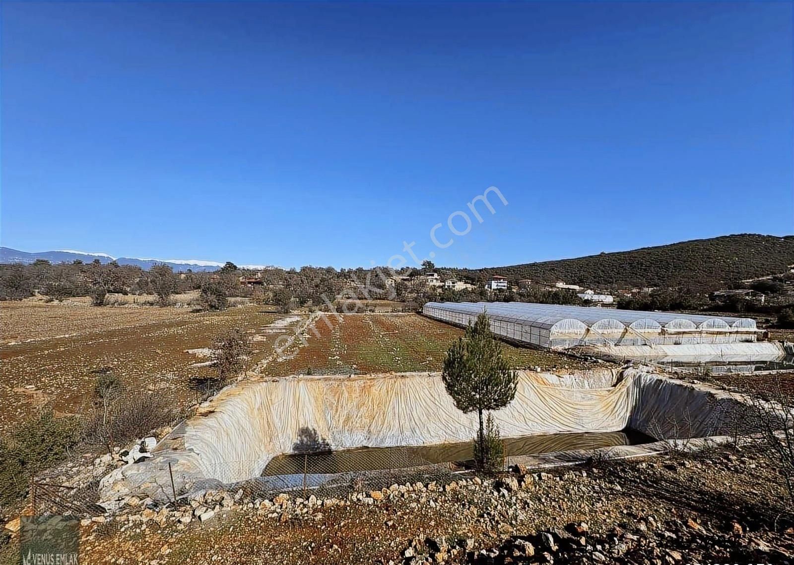 Venüs Emlak Demre Den Kaş Gökçeyazı Köyünde Satılık Tarla
