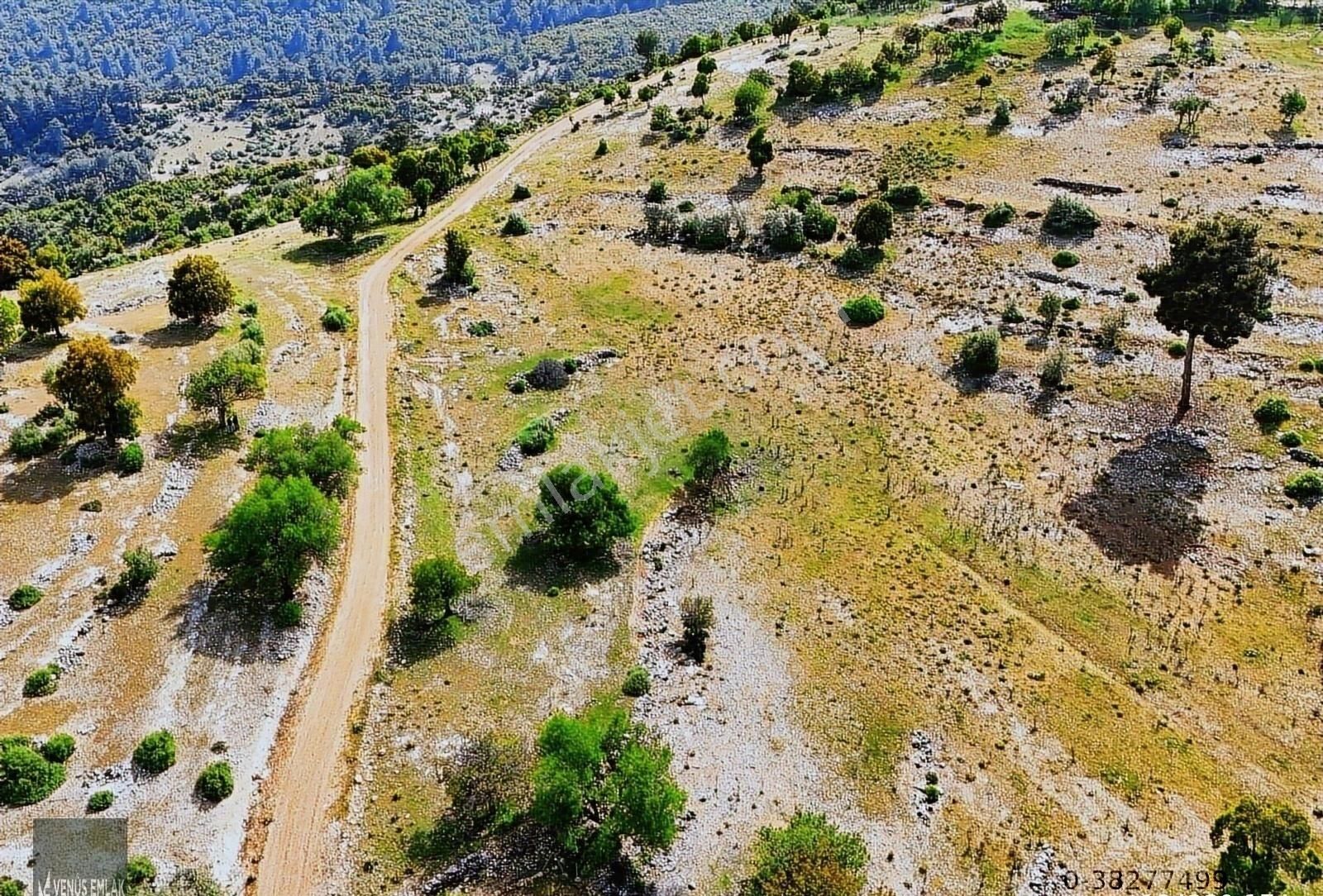 Kaş Akörü Köyünde Doğayla İç İçe Yaşama Fırsatı Herşeyden Uzak - Görsel 4