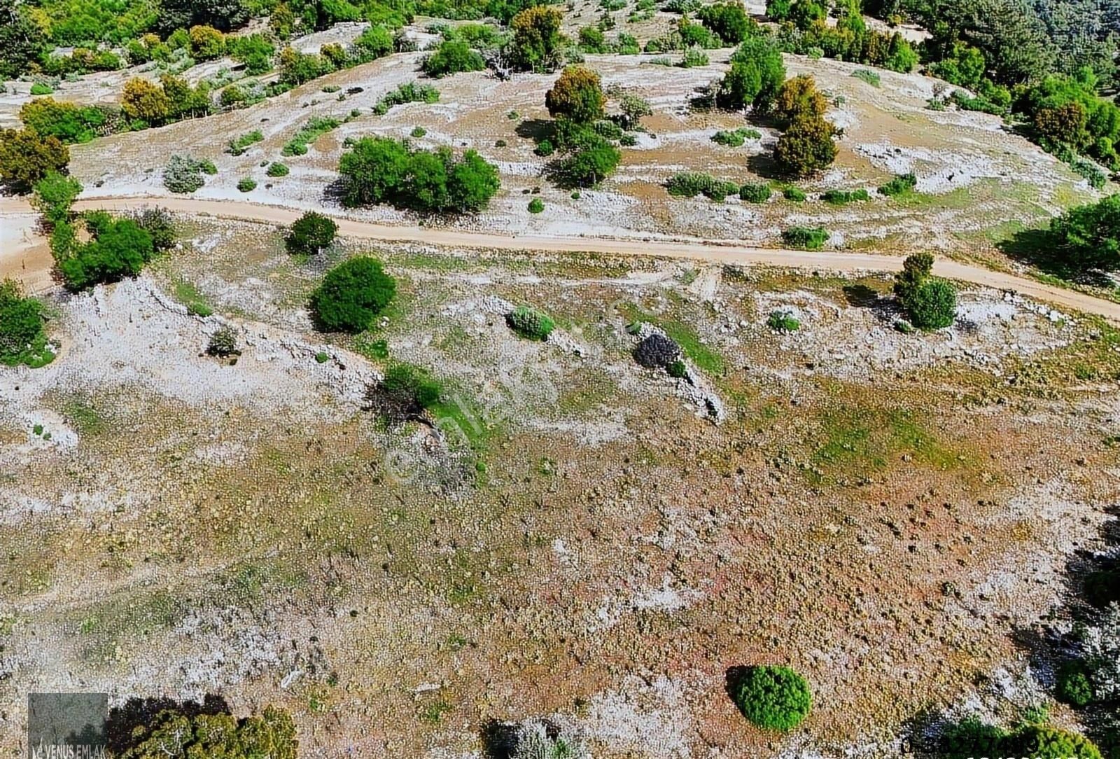 Kaş Akörü Köyünde Doğayla İç İçe Yaşama Fırsatı Herşeyden Uzak - Görsel 14
