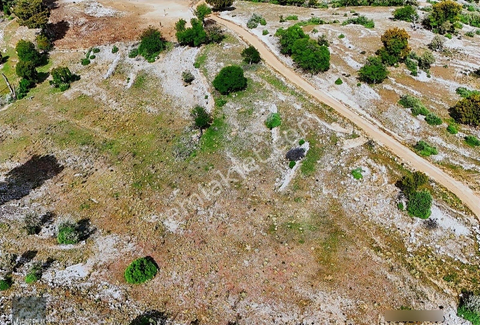 Kaş Akörü Köyünde Doğayla İç İçe Yaşama Fırsatı Herşeyden Uzak - Görsel 5