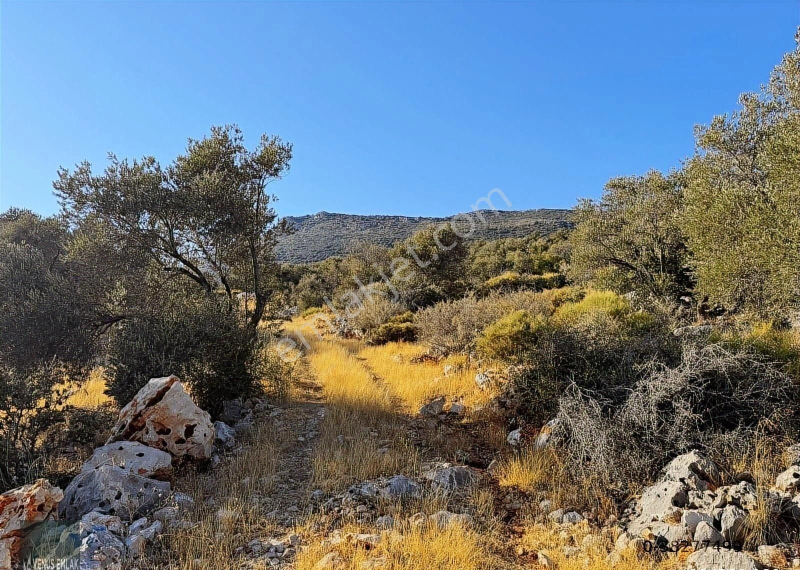 Venüs Emlak Demreden Kaş Sarıbelen Deniz Manzaralı Satılık Tarla - Görsel 2