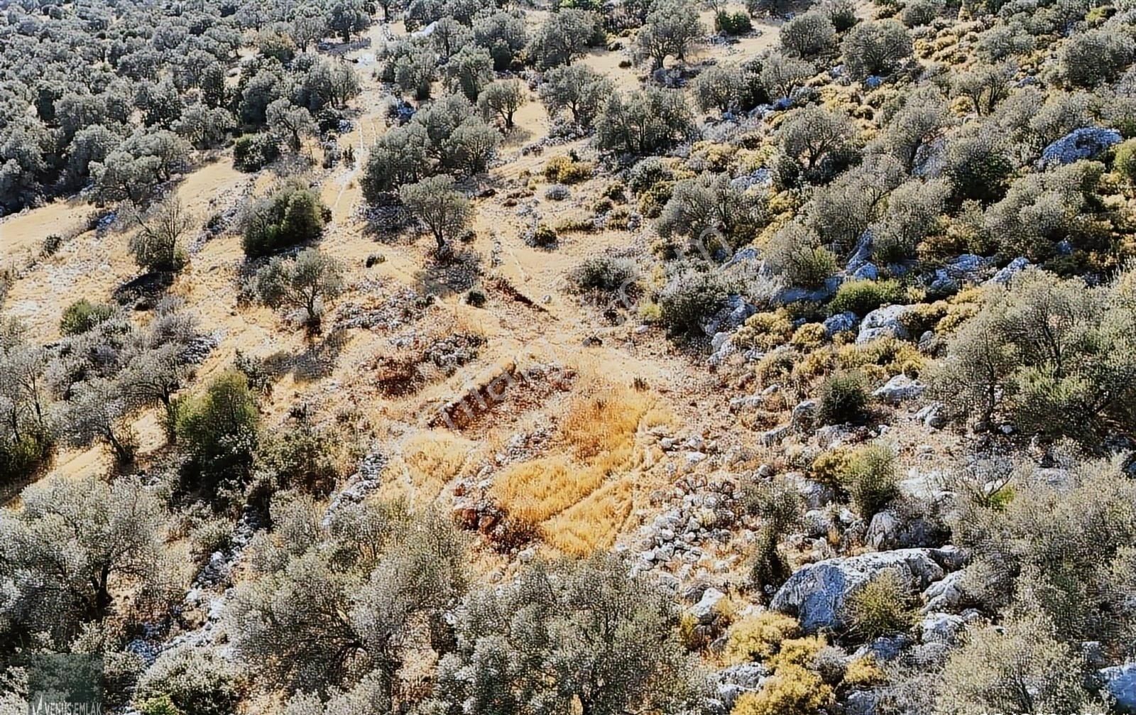 Venüs Emlak Demreden Kaş Sarıbelen Deniz Manzaralı Satılık Tarla - Görsel 11