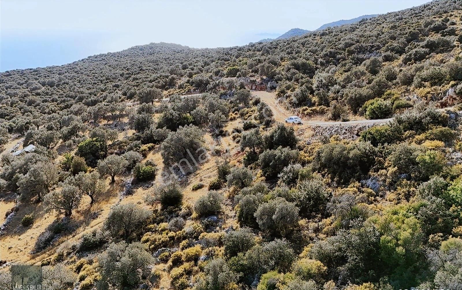 Venüs Emlak Demreden Kaş Sarıbelen Deniz Manzaralı Satılık Tarla - Görsel 6