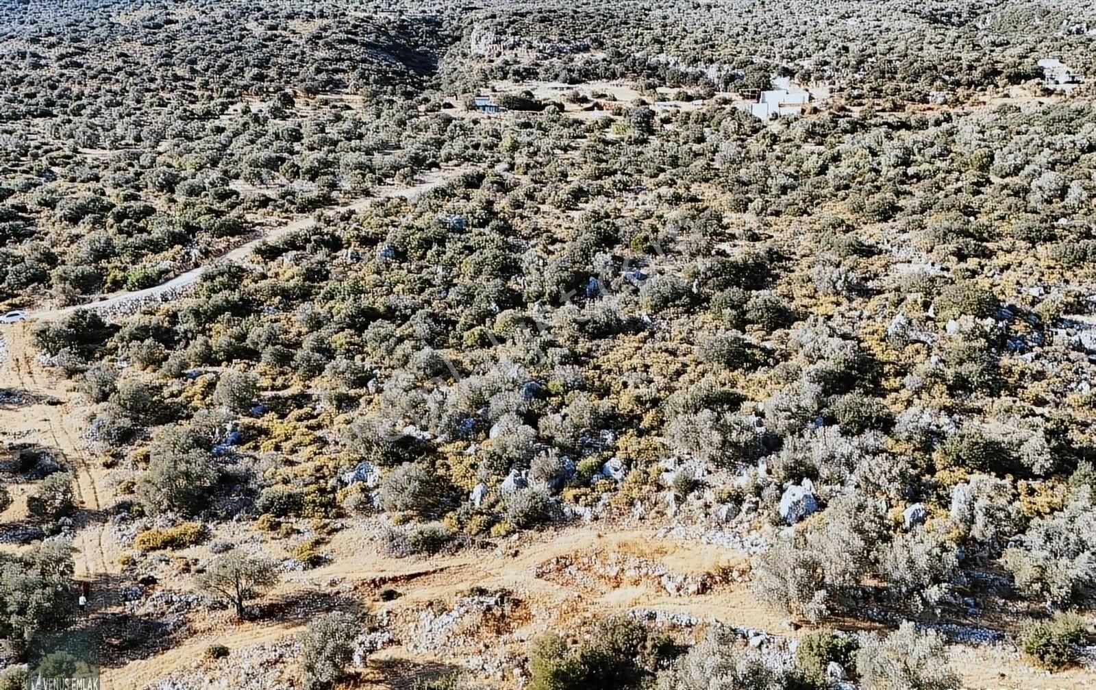 Venüs Emlak Demreden Kaş Sarıbelen Deniz Manzaralı Satılık Tarla - Görsel 7