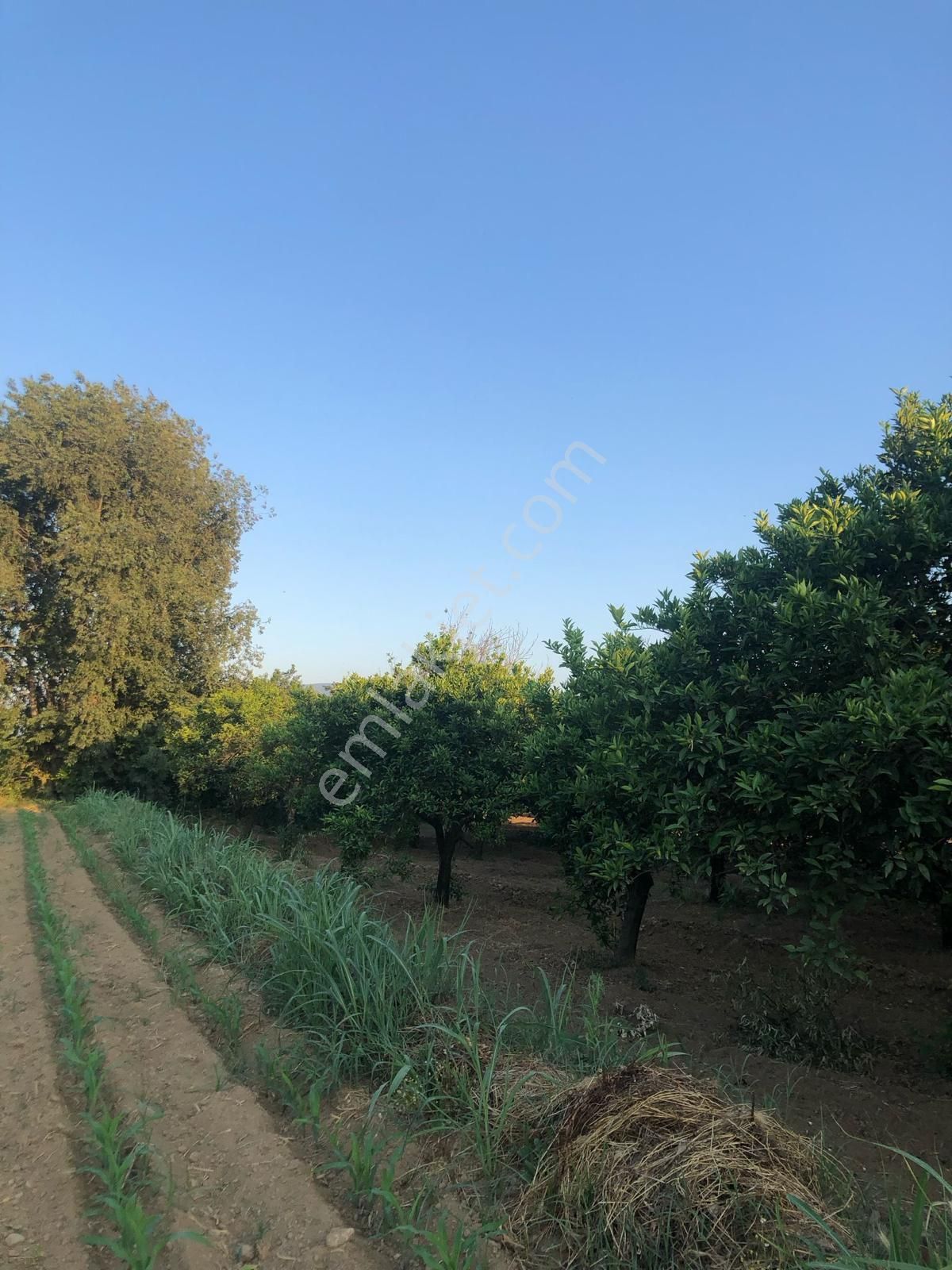 Sahibinden Satılık Köyiçi İmarlı - Görsel 8