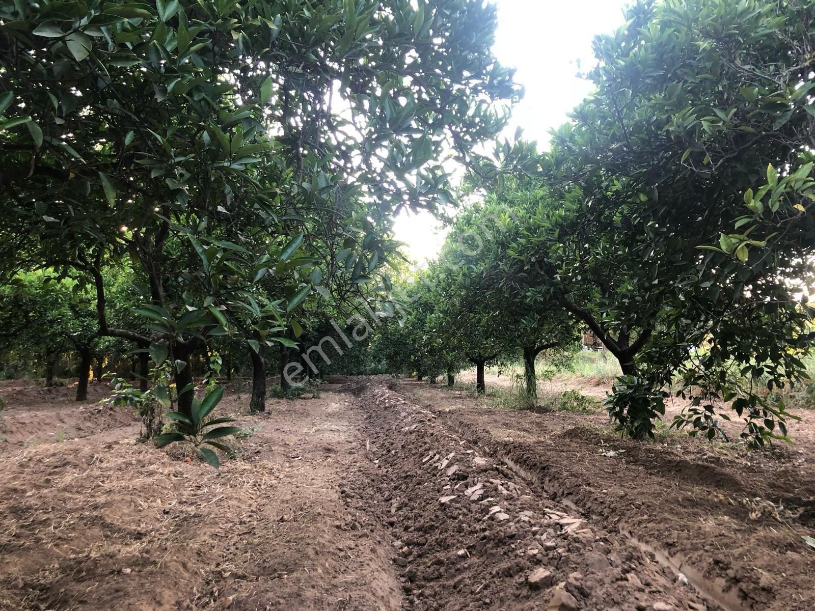 Sahibinden Satılık Köyiçi İmarlı - Görsel 6