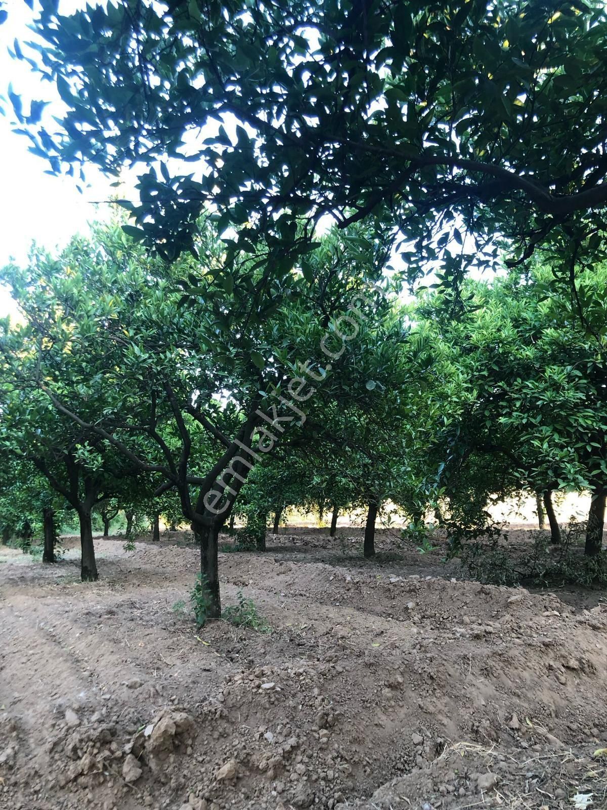 Sahibinden Satılık Köyiçi İmarlı - Görsel 7