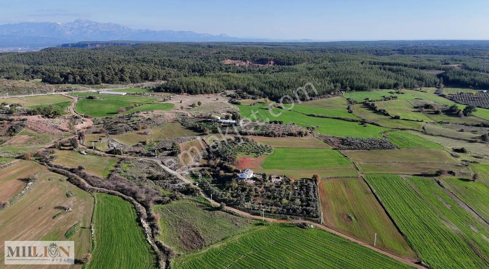 Satılık Ağaçlı Tarla Döşemealtı Eksili Prefabrik Evli - Görsel 14