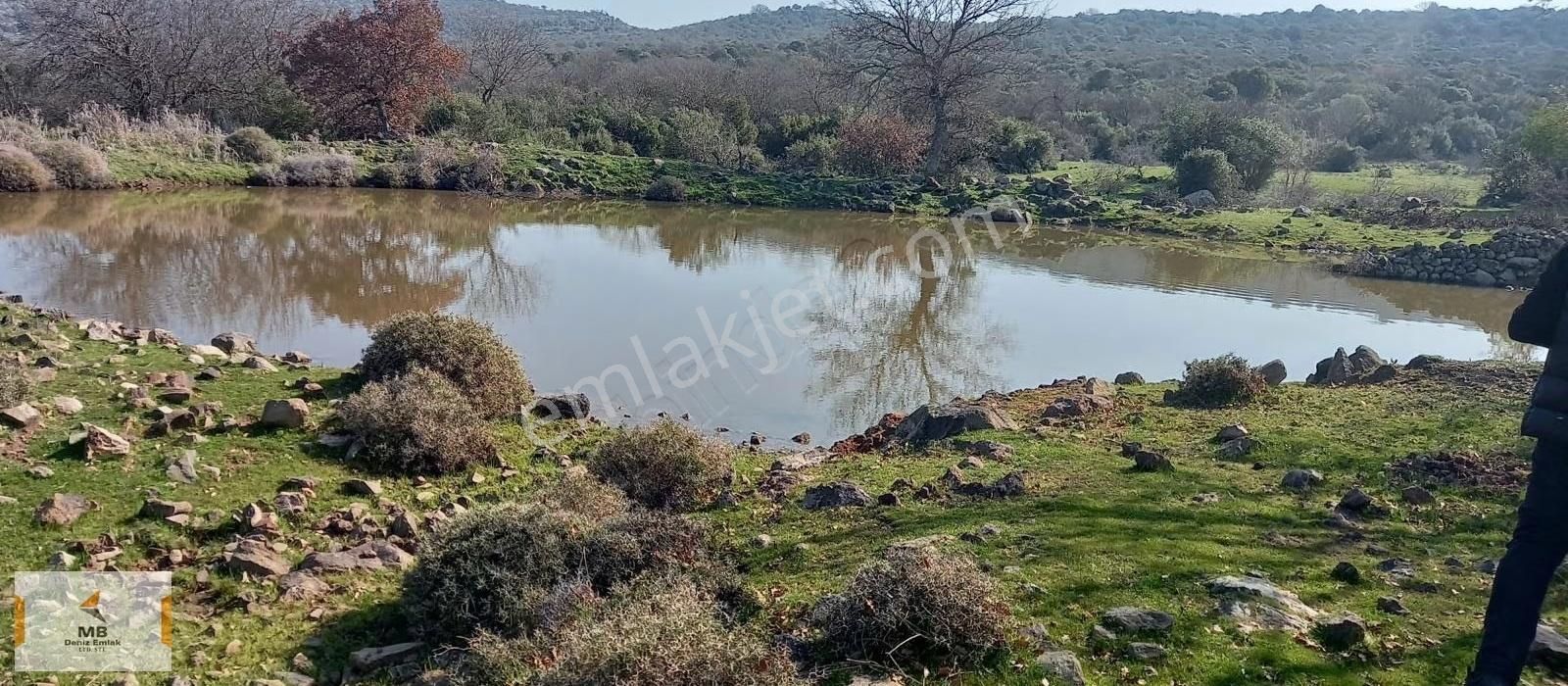 İzmir Dikili Demirtaş Da 34 Dönüm Yatırımlık Tarla - Görsel 2