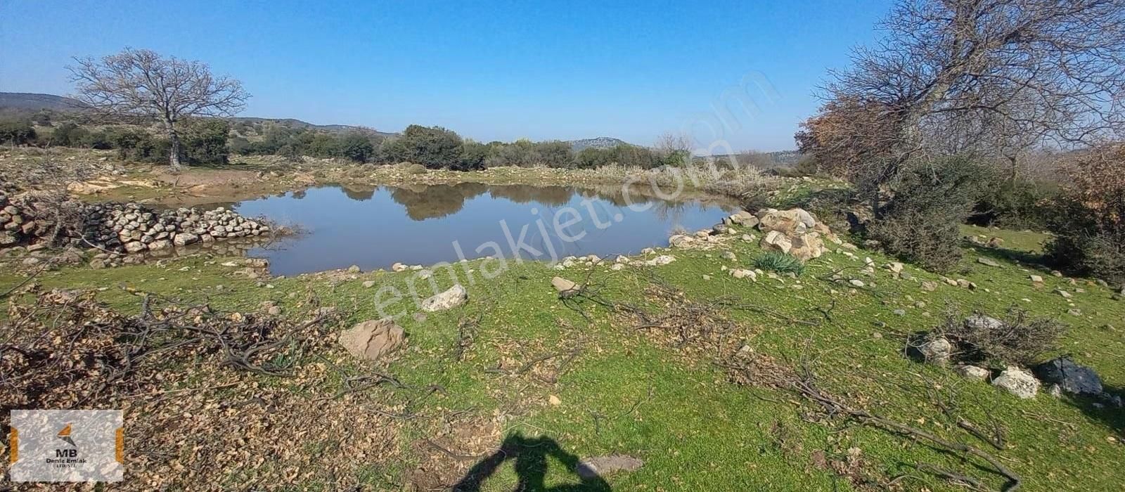 İzmir Dikili Demirtaş Da 34 Dönüm Yatırımlık Tarla - Görsel 4