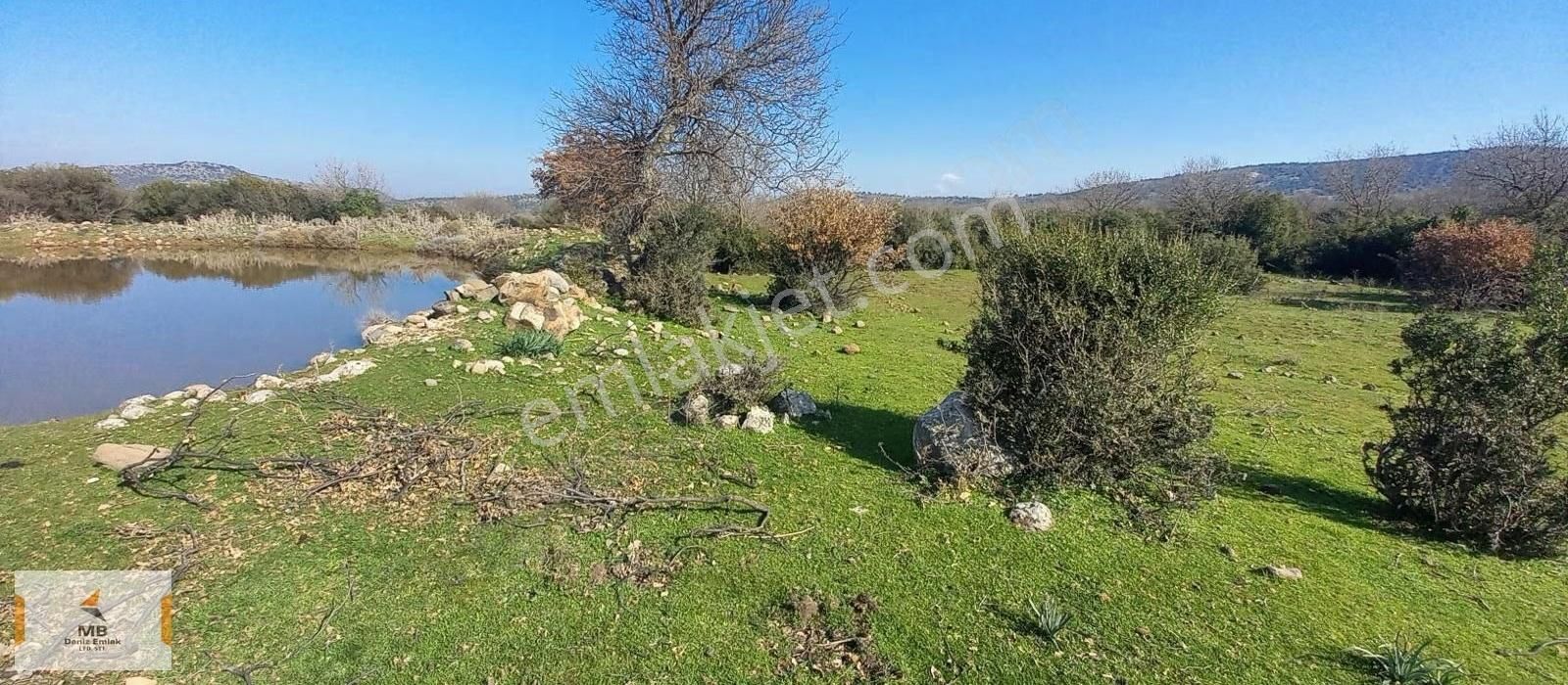 İzmir Dikili Demirtaş Da 34 Dönüm Yatırımlık Tarla - Görsel 6