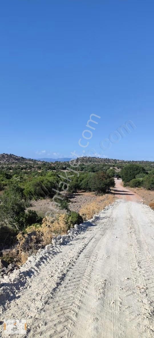 İzmir Dikili Demirtaş Da 34 Dönüm Yatırımlık Tarla - Görsel 7