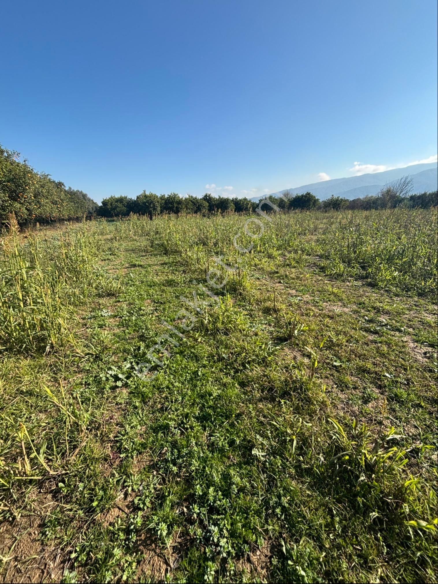 Sezgin Emlak Dan Hamzalı Köyiçine Yakın Satılık Hobi Bahçesi - Görsel 17