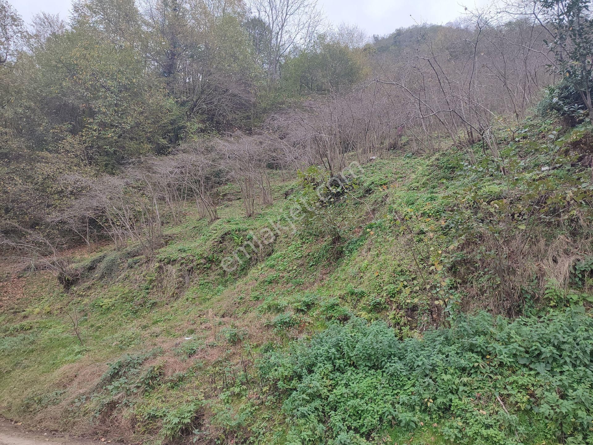 Fume Emlaktan Satılık Köyde Müstakil Arazi - Görsel 3