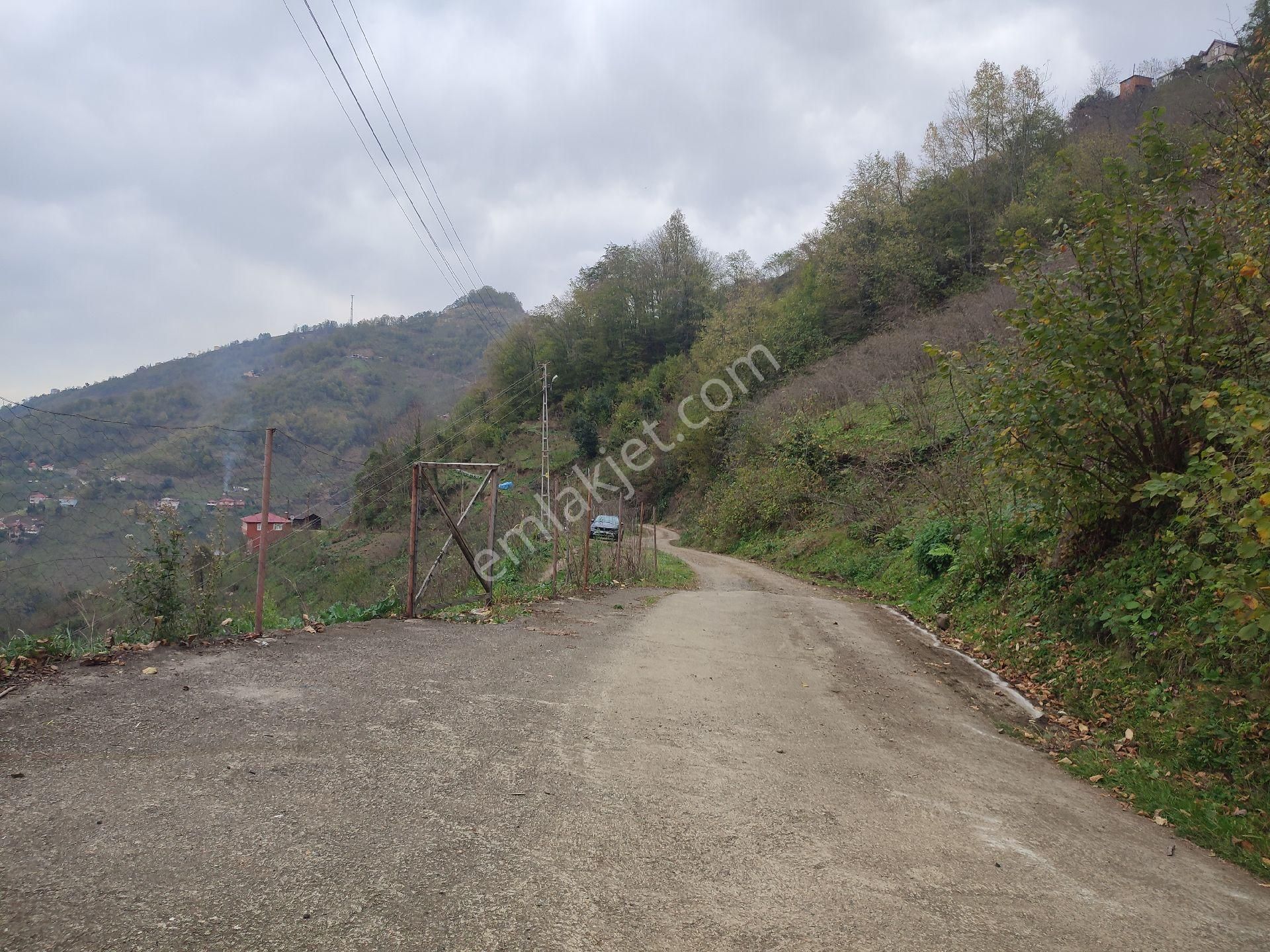 Fume Emlaktan Satılık Köyde Müstakil Arazi - Görsel 9