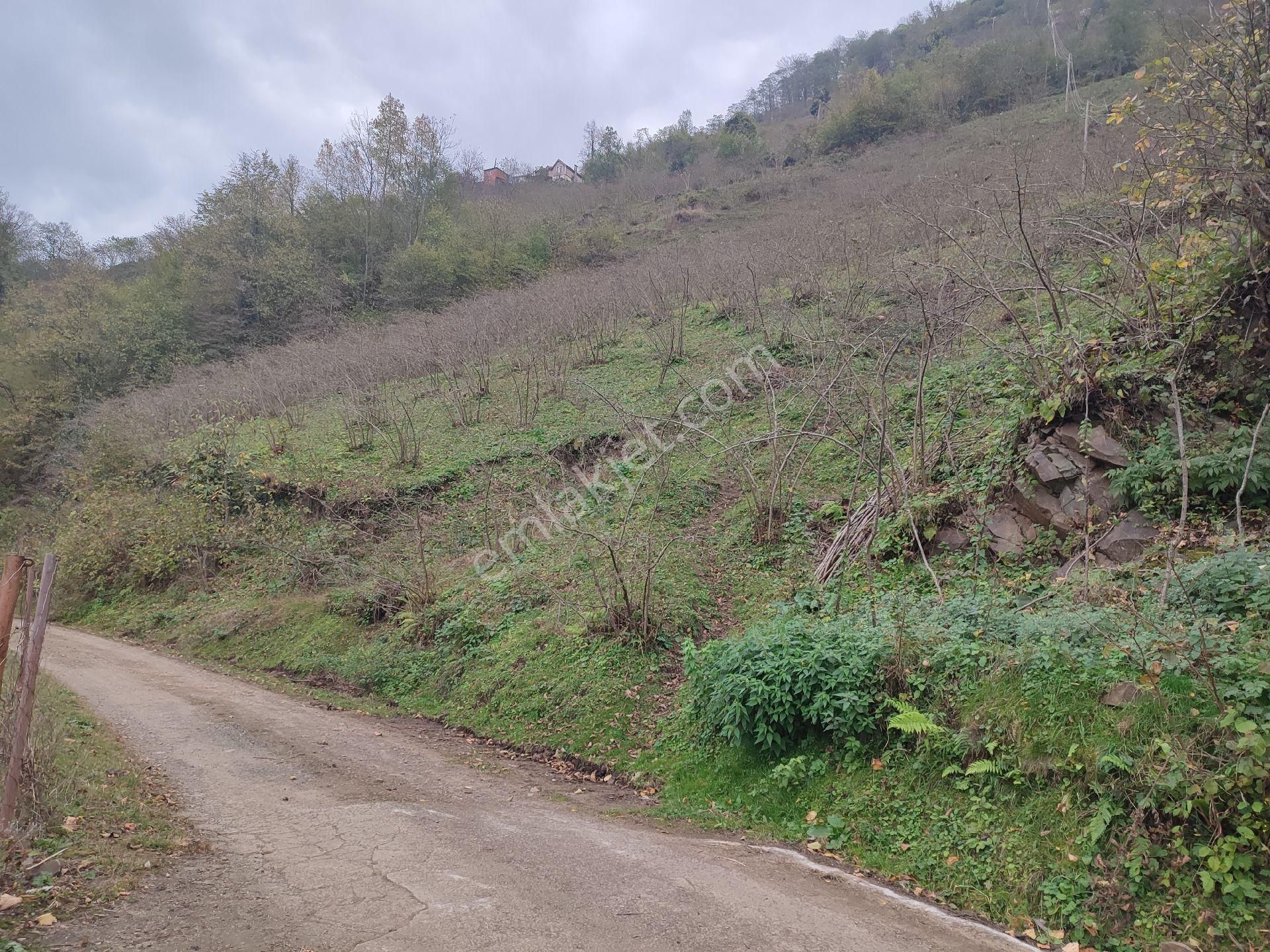 Fume Emlaktan Satılık Köyde Müstakil Arazi - Görsel 5