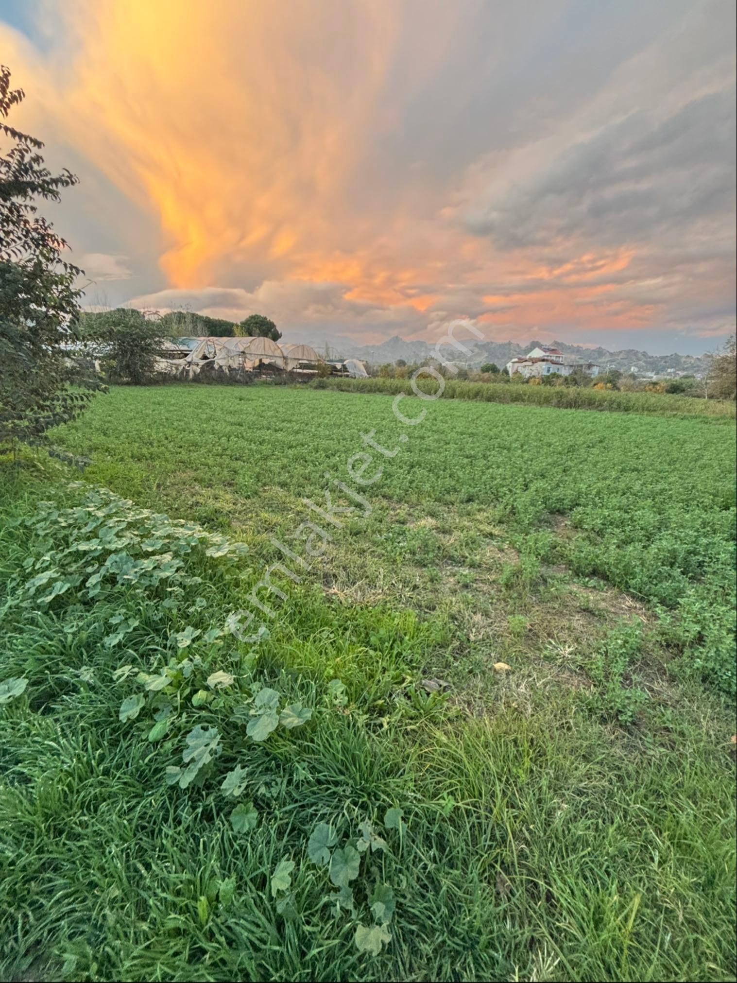 Sezgin Emlak Dan Aydın Nazilli Arslanlı Hobi Bahçesi - Görsel 5