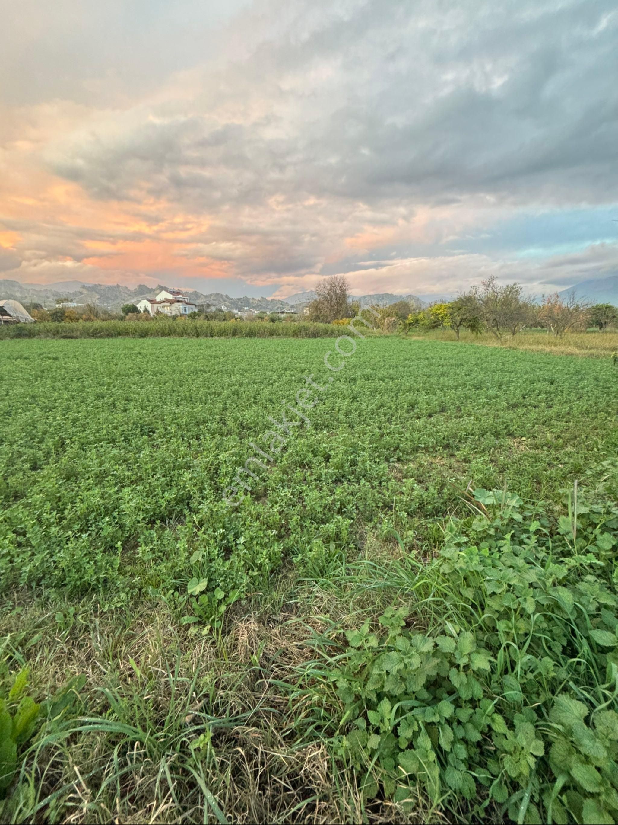 Sezgin Emlak Dan Aydın Nazilli Arslanlı Hobi Bahçesi - Görsel 8