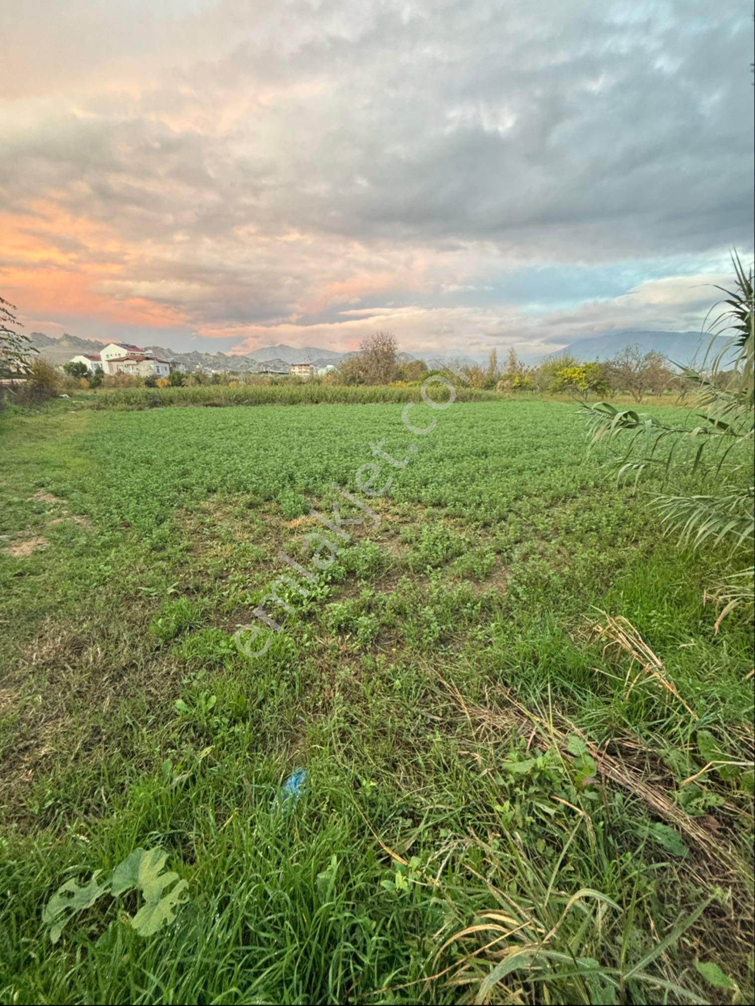 Sezgin Emlak Dan Aydın Nazilli Arslanlı Hobi Bahçesi - Görsel 10