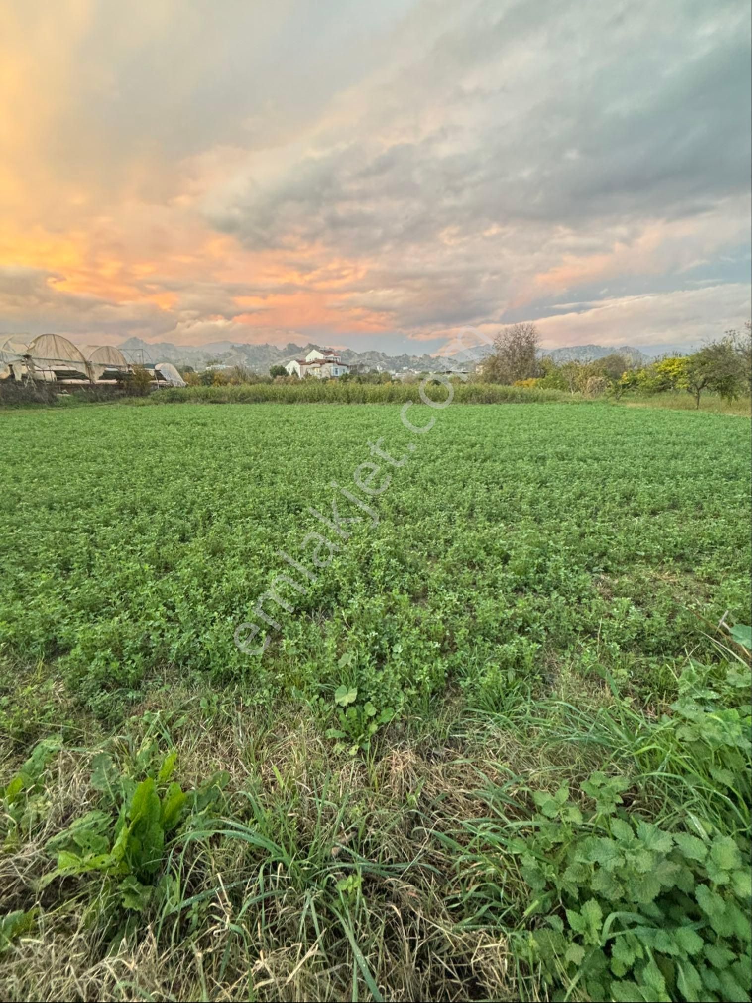 Sezgin Emlak Dan Aydın Nazilli Arslanlı Hobi Bahçesi - Görsel 7