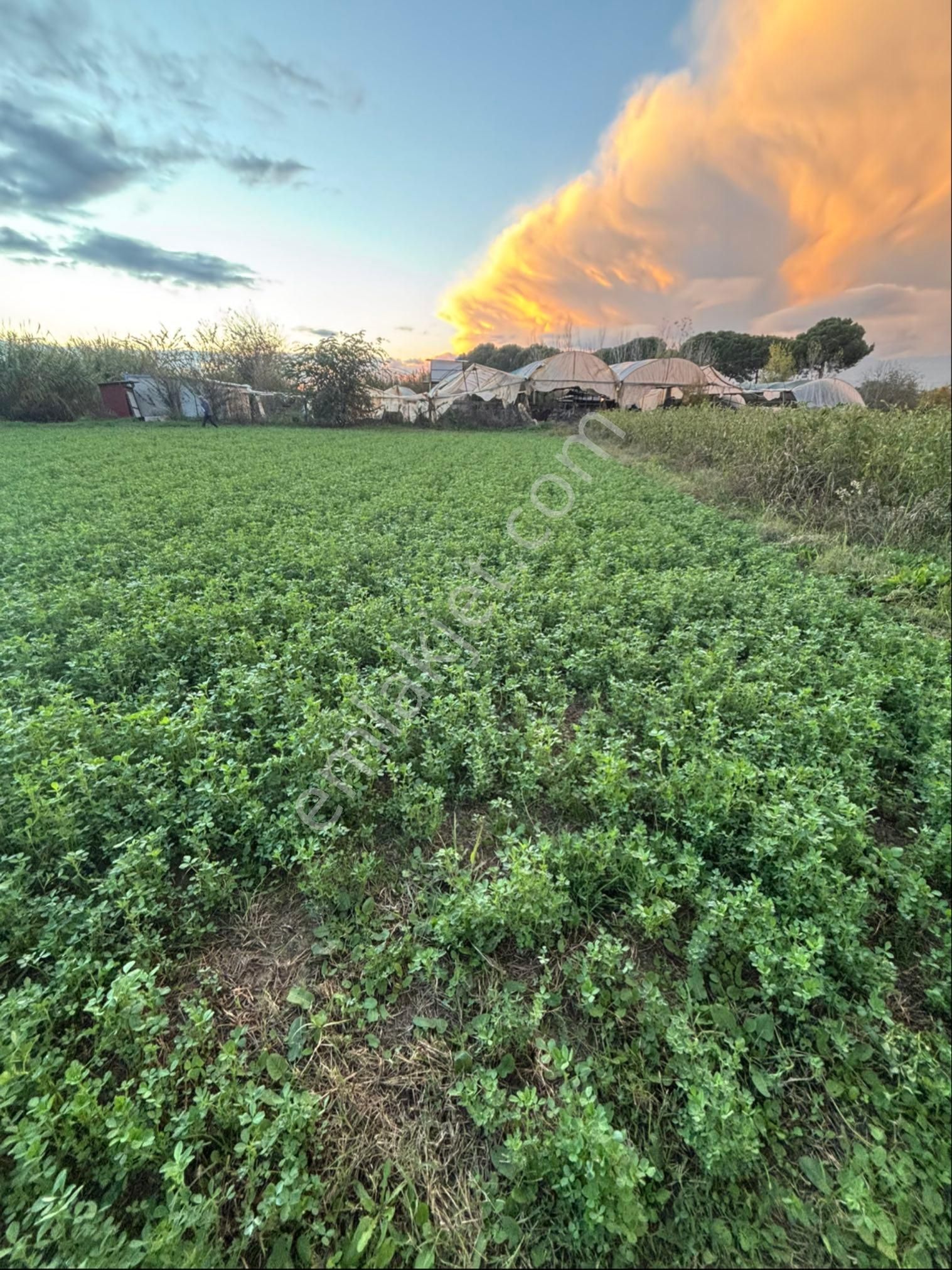Sezgin Emlak Dan Aydın Nazilli Arslanlı Hobi Bahçesi - Görsel 14