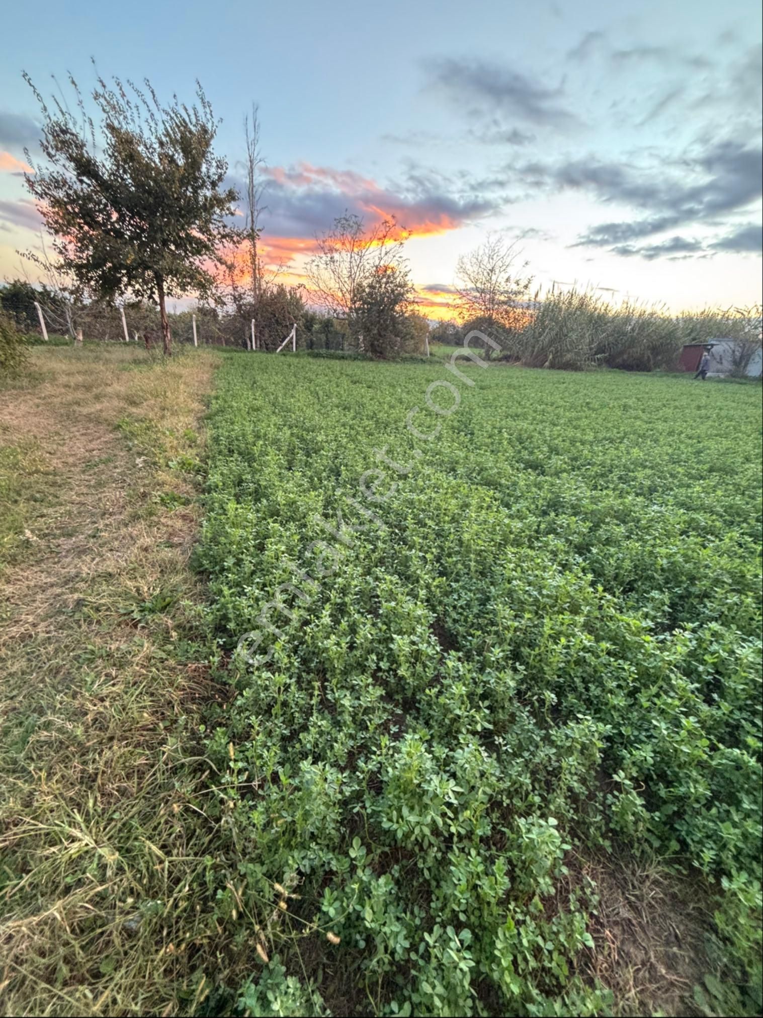 Sezgin Emlak Dan Aydın Nazilli Arslanlı Hobi Bahçesi - Görsel 12
