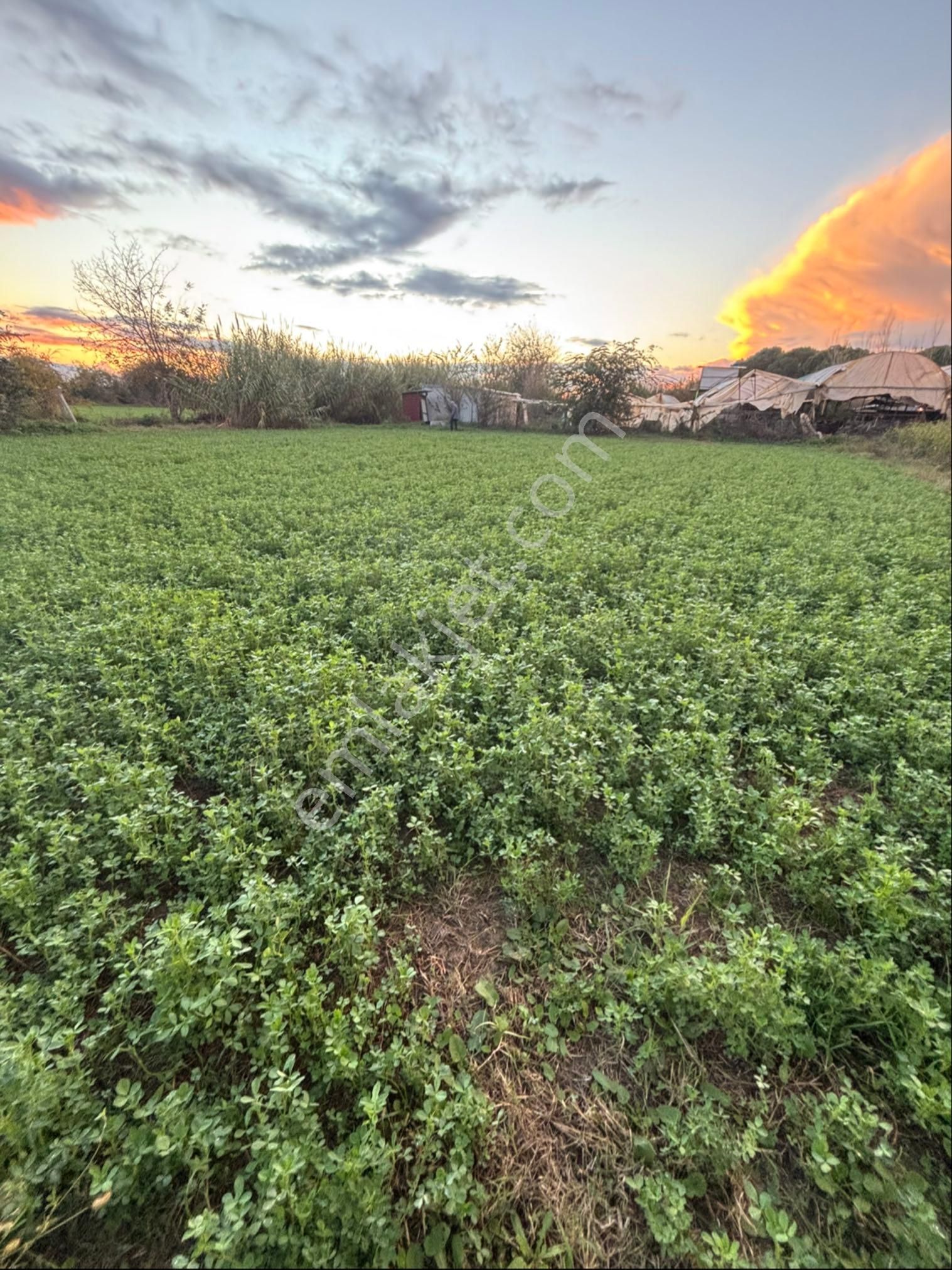 Sezgin Emlak Dan Aydın Nazilli Arslanlı Hobi Bahçesi - Görsel 11