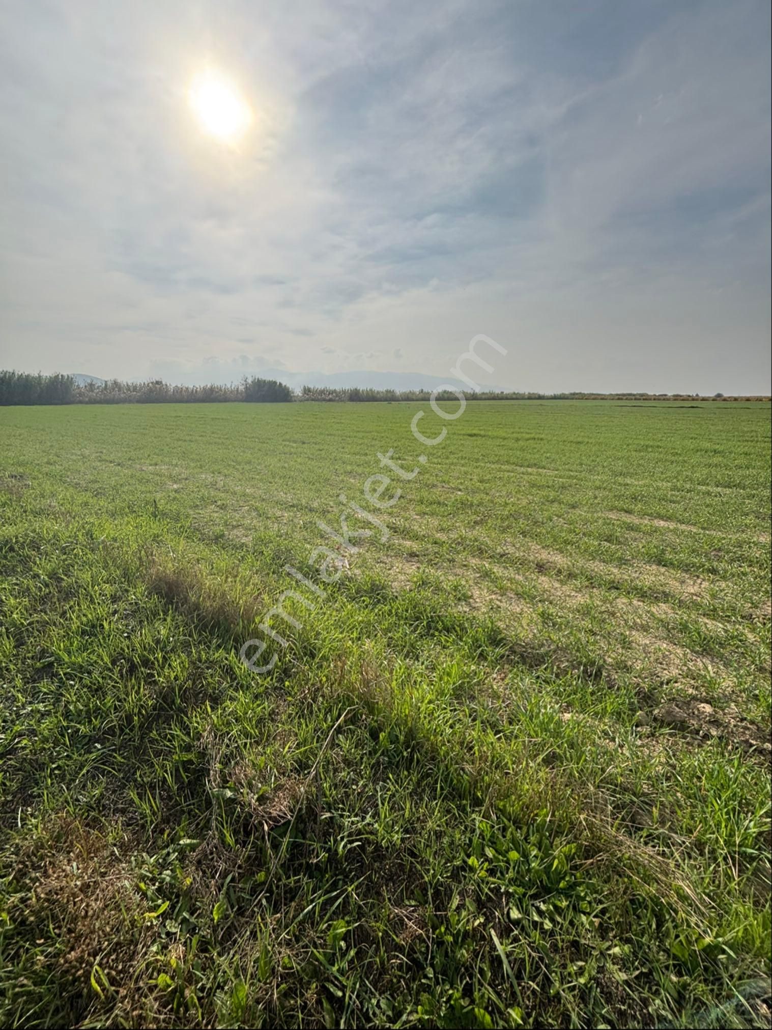 Sezgin Emlak Dan Sevindikli Satılık Tarla