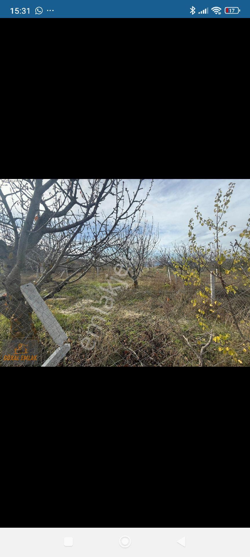 Bornova Manisa Besyol Koyunde Tarla - Görsel 5