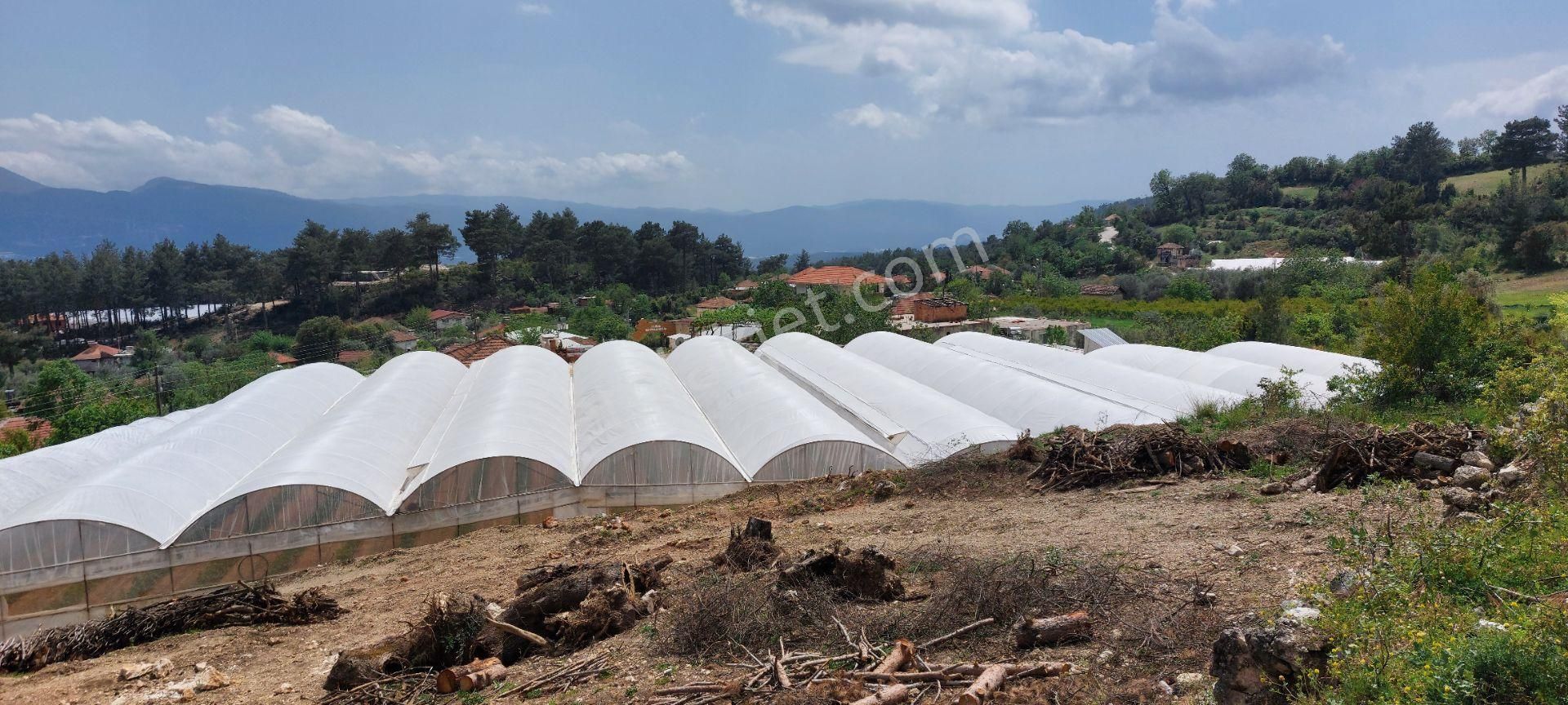 Köyün Yerleşiminde İçinde Eski Ev Var Altyapı Dibi Hakim Konumda - Görsel 4