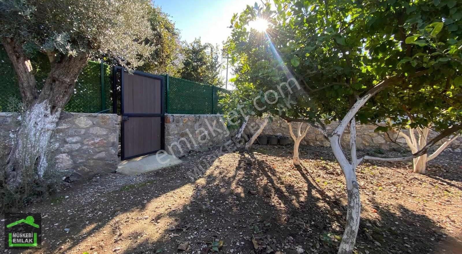 Bodrum Bitezde Satılık Mandalina Bahçesi(villa Yapılabilir) - Görsel 19