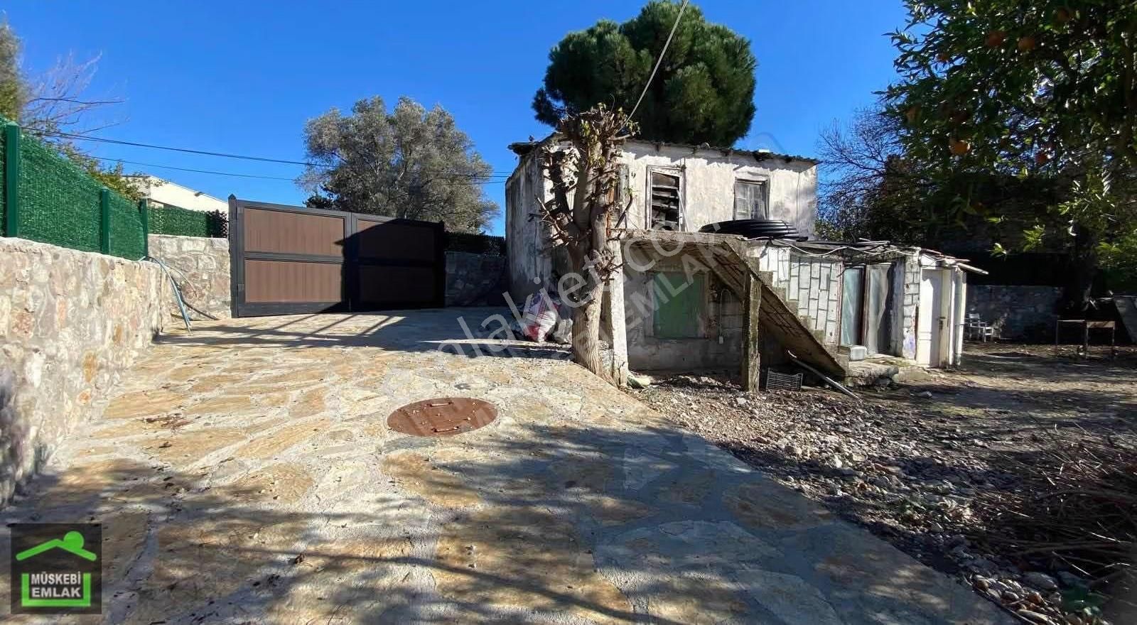 Bodrum Bitezde Satılık Mandalina Bahçesi(villa Yapılabilir) - Görsel 32