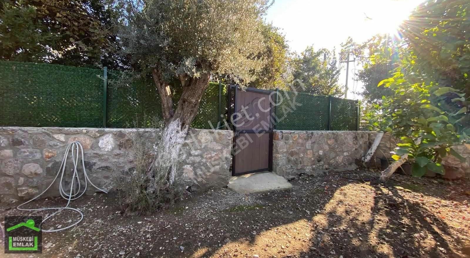 Bodrum Bitezde Satılık Mandalina Bahçesi(villa Yapılabilir) - Görsel 25