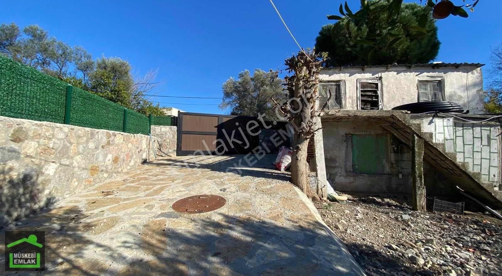 Bodrum Bitezde Satılık Mandalina Bahçesi(villa Yapılabilir) - Görsel 9
