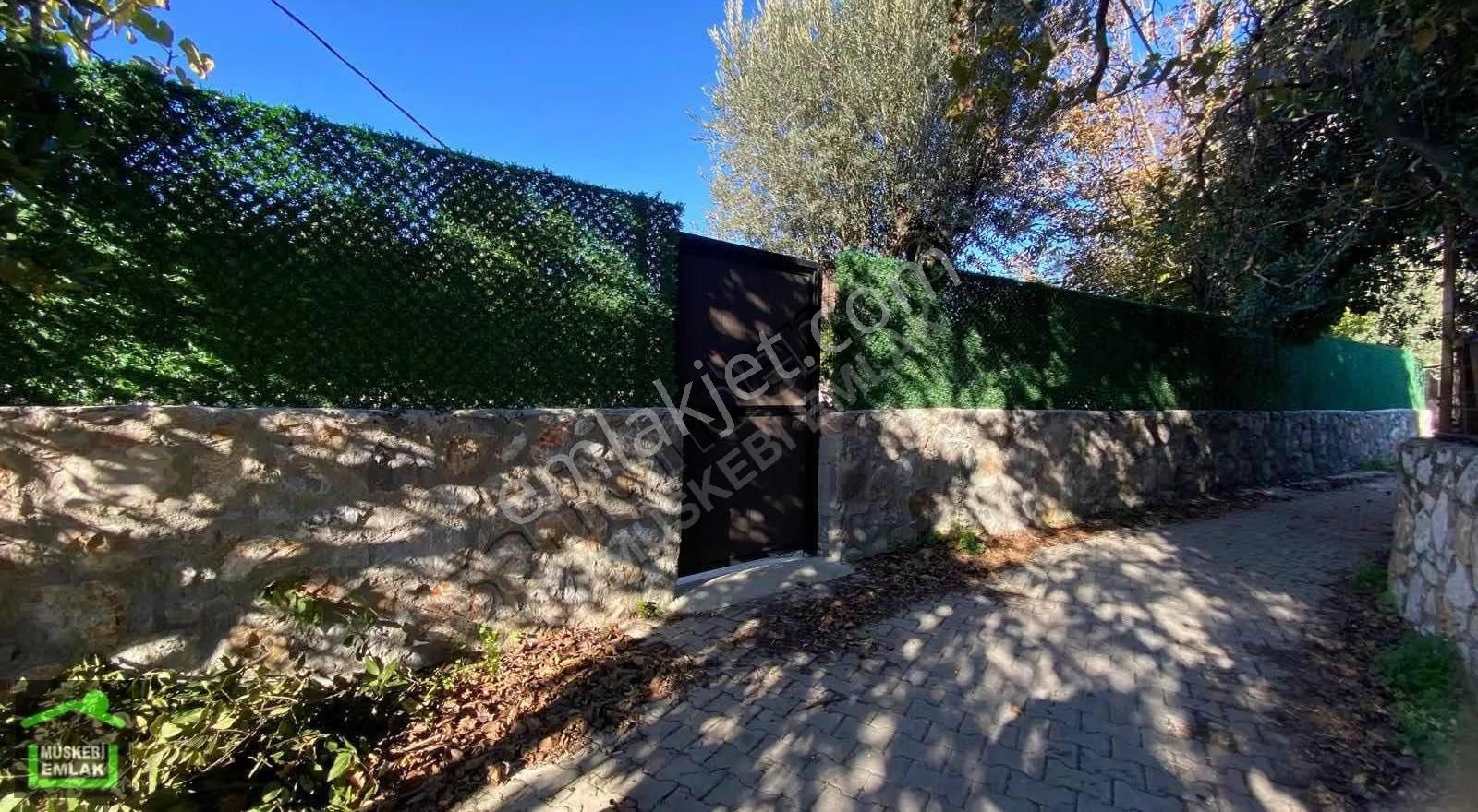 Bodrum Bitezde Satılık Mandalina Bahçesi(villa Yapılabilir) - Görsel 22