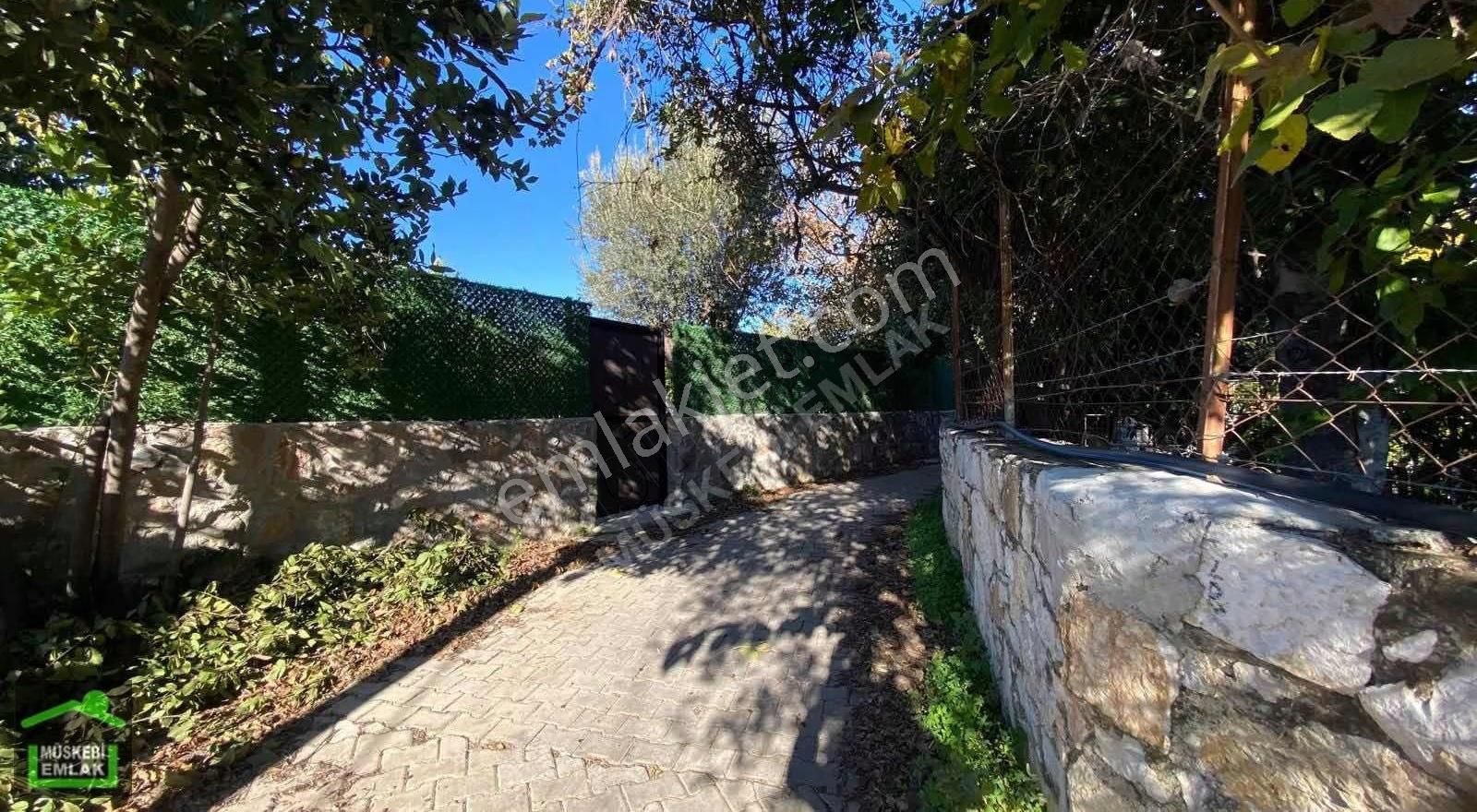 Bodrum Bitezde Satılık Mandalina Bahçesi(villa Yapılabilir) - Görsel 30