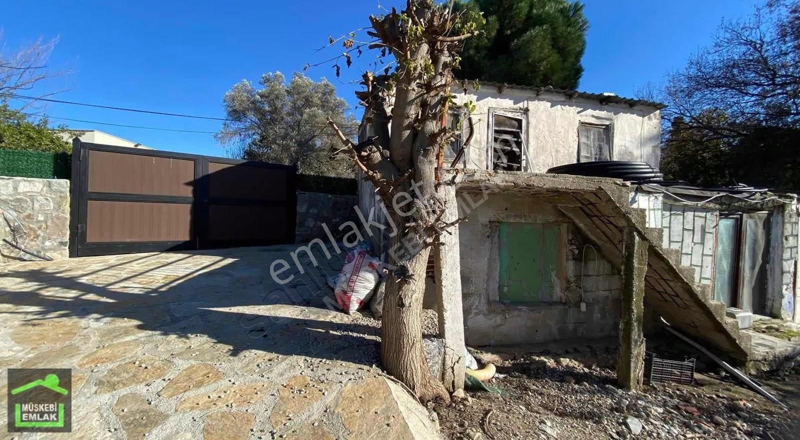 Bodrum Bitezde Satılık Mandalina Bahçesi(villa Yapılabilir) - Görsel 13