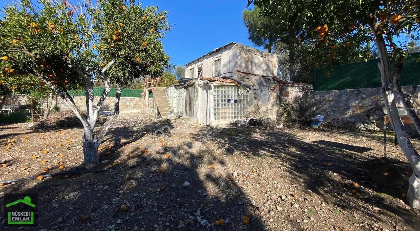 Bodrum Bitezde Satılık Mandalina Bahçesi(villa Yapılabilir) - Görsel 12