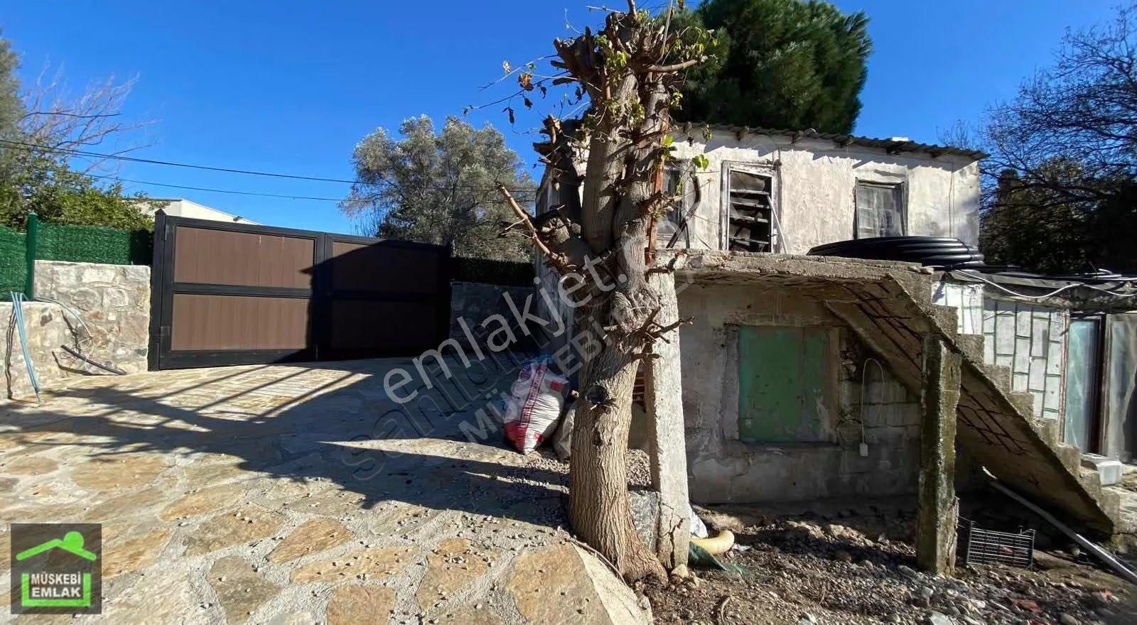 Bodrum Bitezde Satılık Mandalina Bahçesi(villa Yapılabilir) - Görsel 16