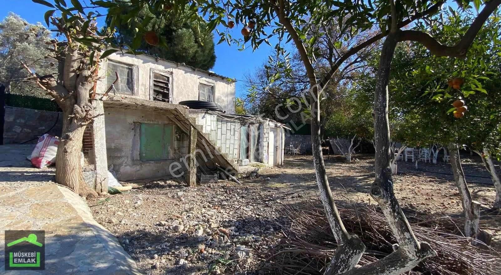 Bodrum Bitezde Satılık Mandalina Bahçesi(villa Yapılabilir) - Görsel 35