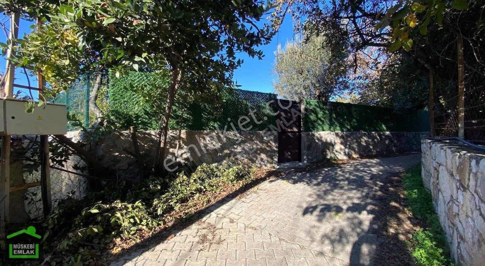 Bodrum Bitezde Satılık Mandalina Bahçesi(villa Yapılabilir) - Görsel 34