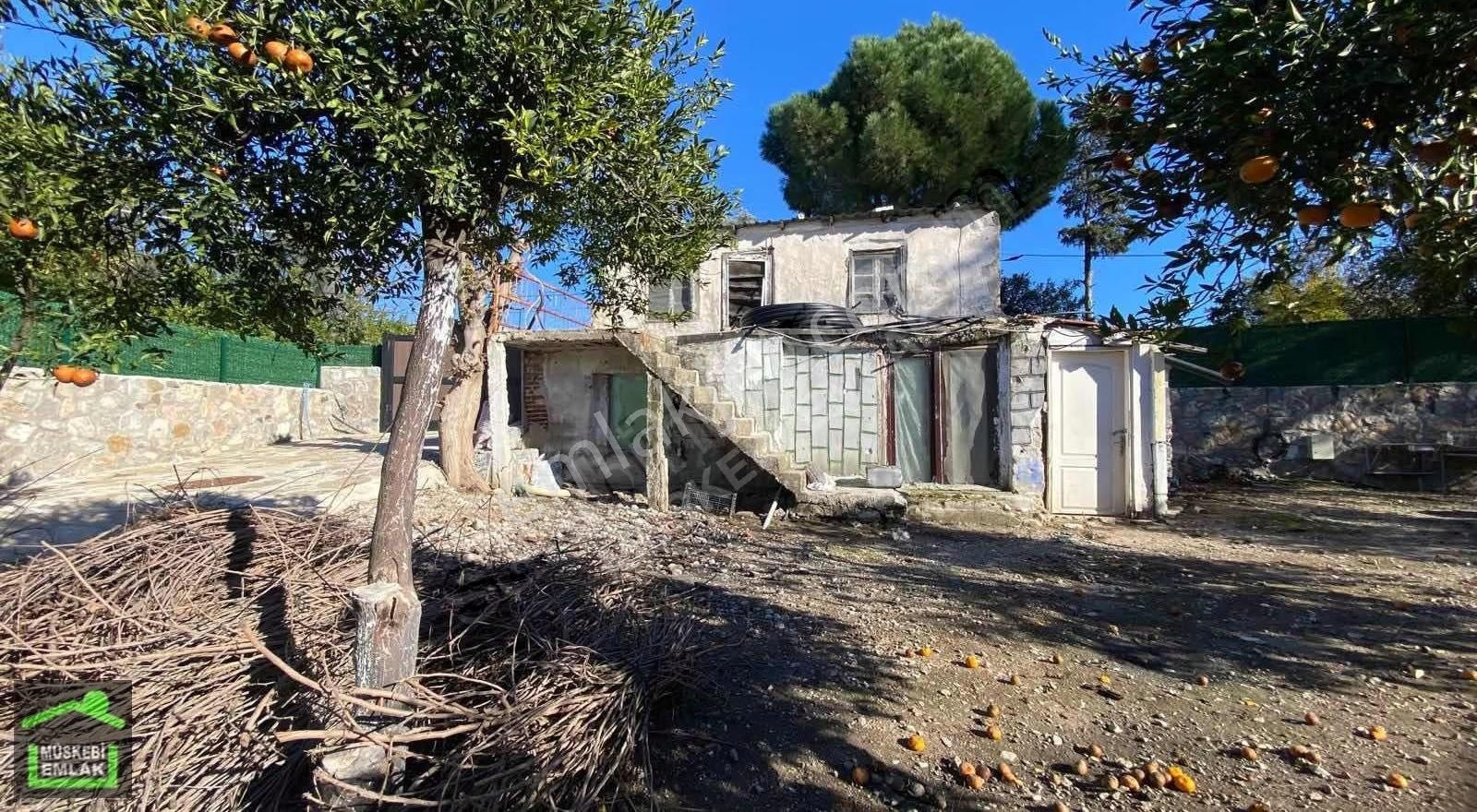Bodrum Bitezde Satılık Mandalina Bahçesi(villa Yapılabilir) - Görsel 33