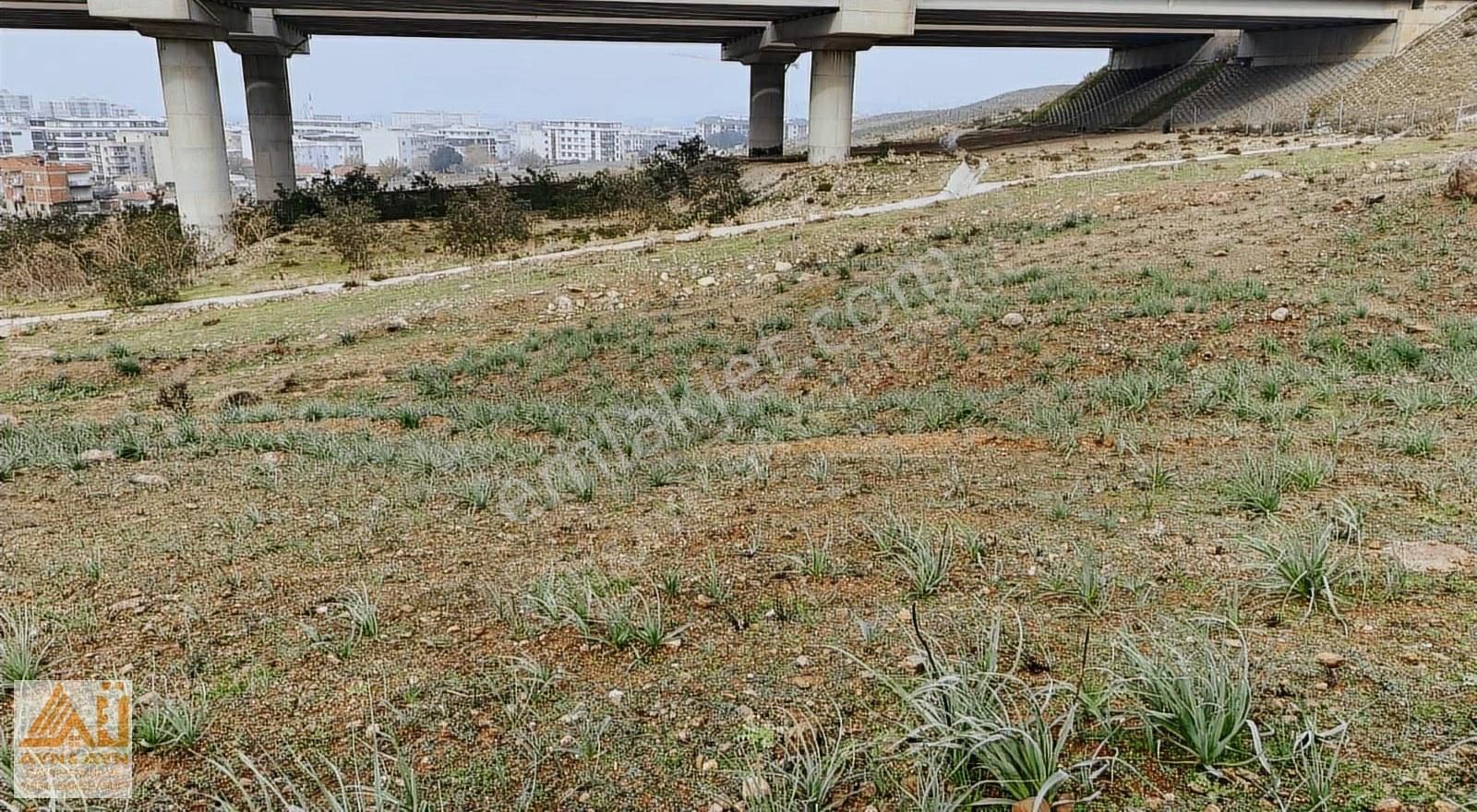 Ayn Gayrimenkul Den Koyundere De Satılık İmarlı Arsa... - Görsel 6