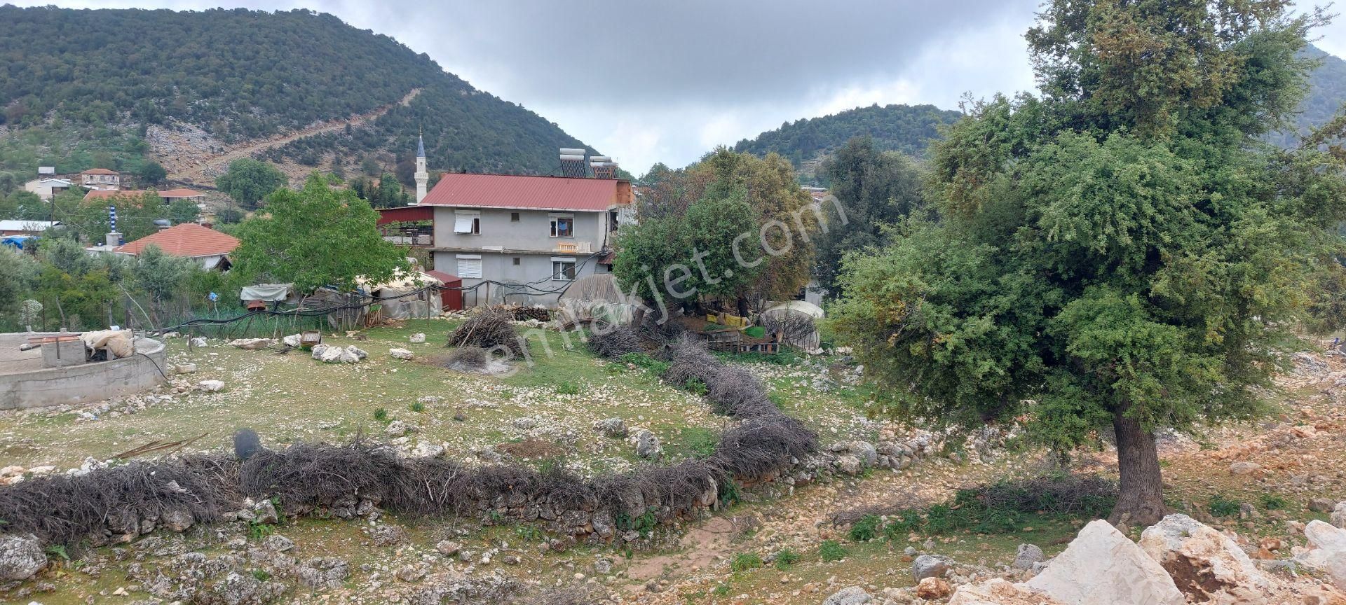 Yerleşimde Ormana Komşu Yollu Hakim Konumda Sahil 20 Dk - Görsel 6