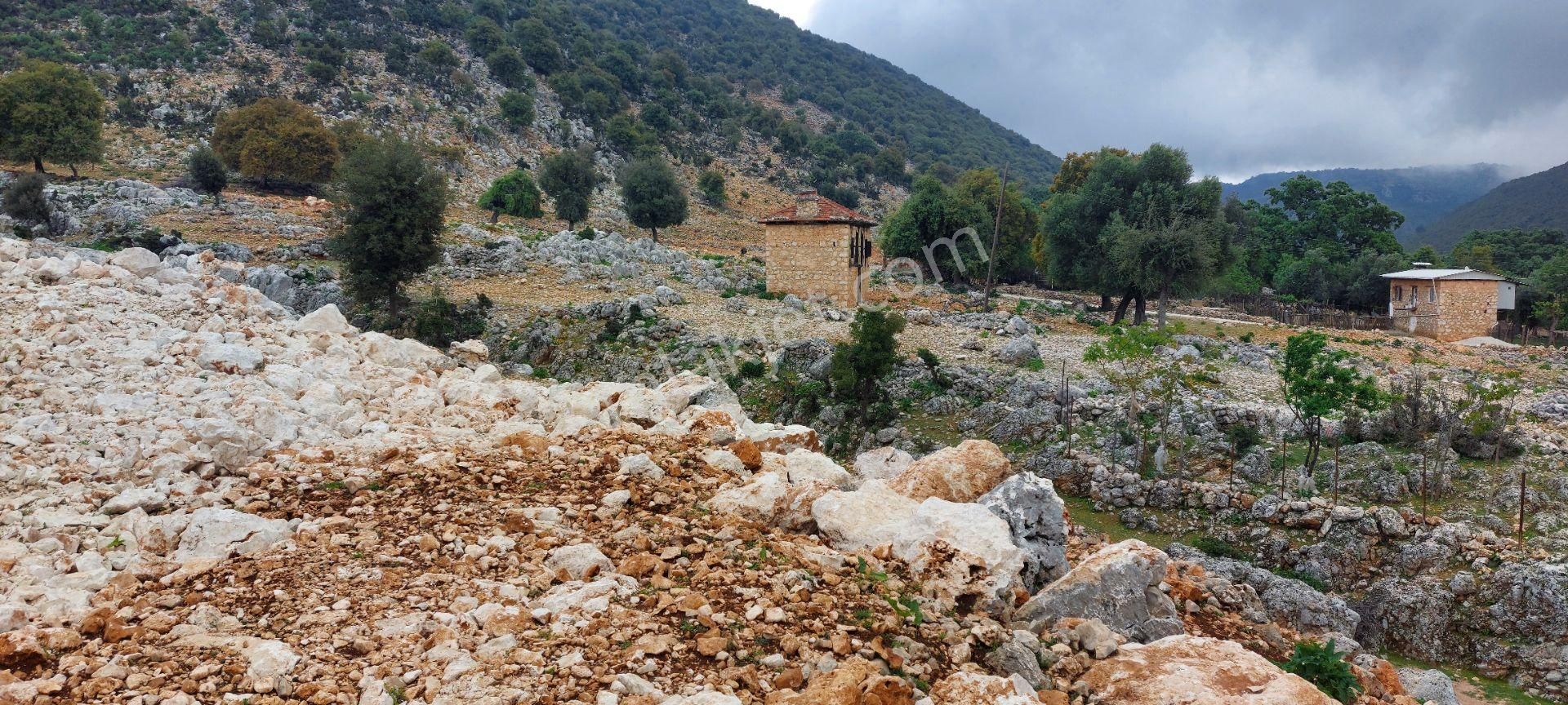Yerleşimde Ormana Komşu Yollu Hakim Konumda Sahil 20 Dk - Görsel 9
