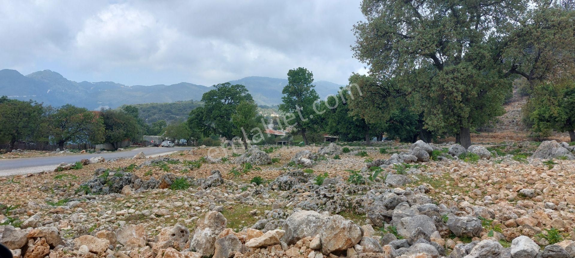 Yerleşimde Ormana Komşu Yollu Hakim Konumda Sahil 20 Dk - Görsel 21