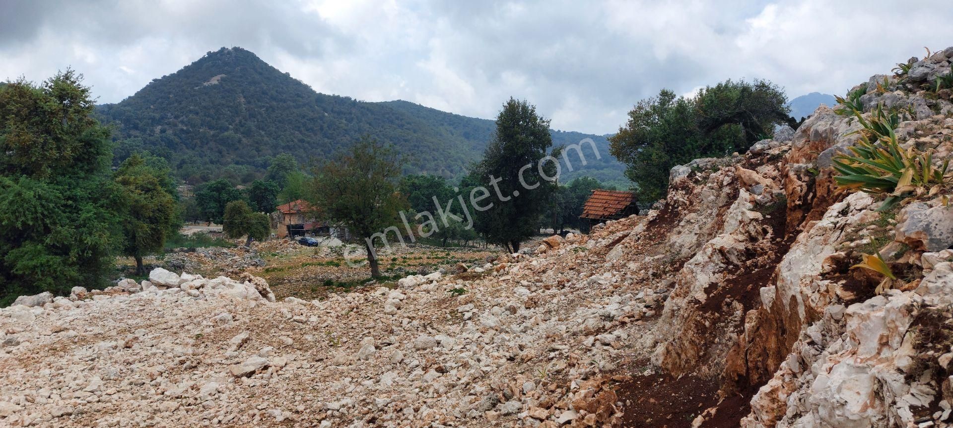 Yerleşimde Ormana Komşu Yollu Hakim Konumda Sahil 20 Dk - Görsel 15