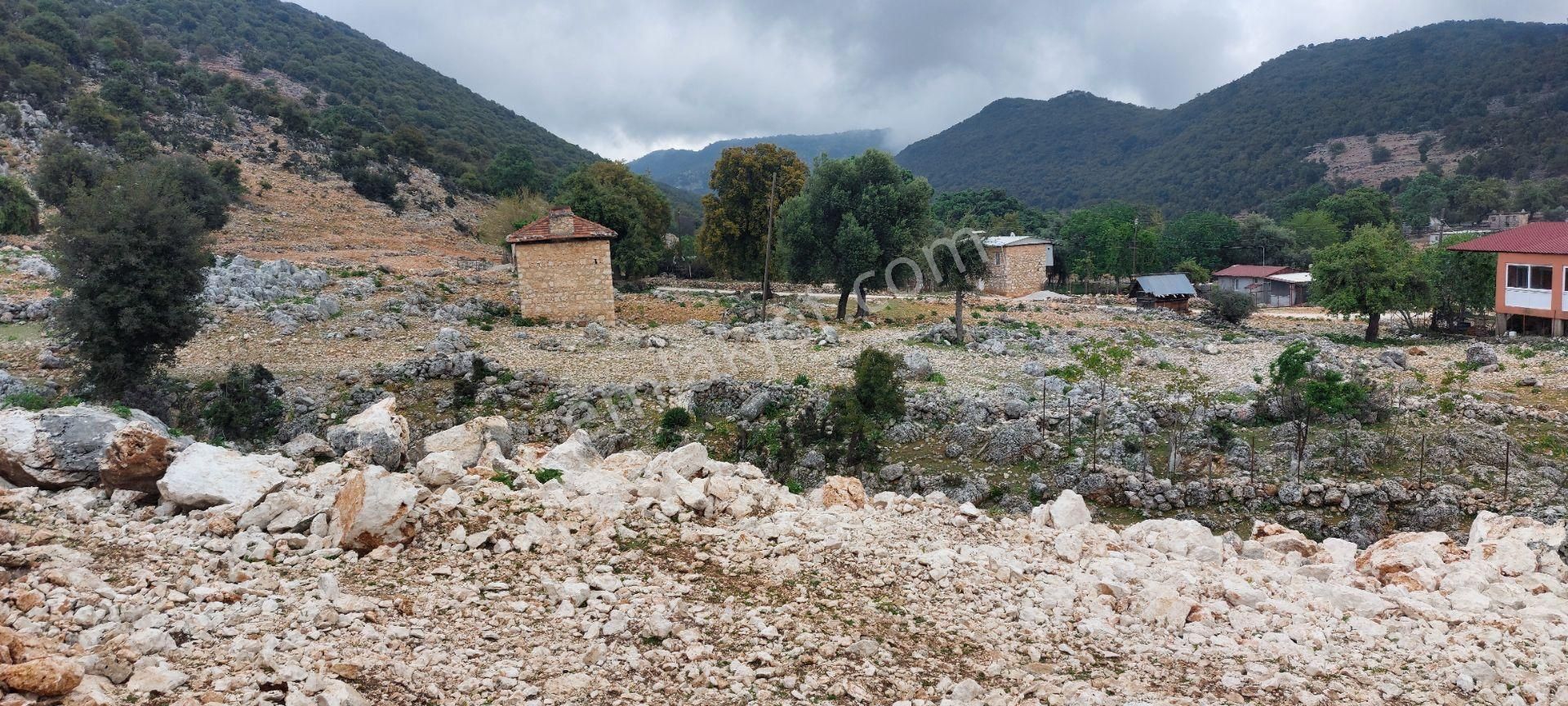 Yerleşimde Ormana Komşu Yollu Hakim Konumda Sahil 20 Dk - Görsel 12
