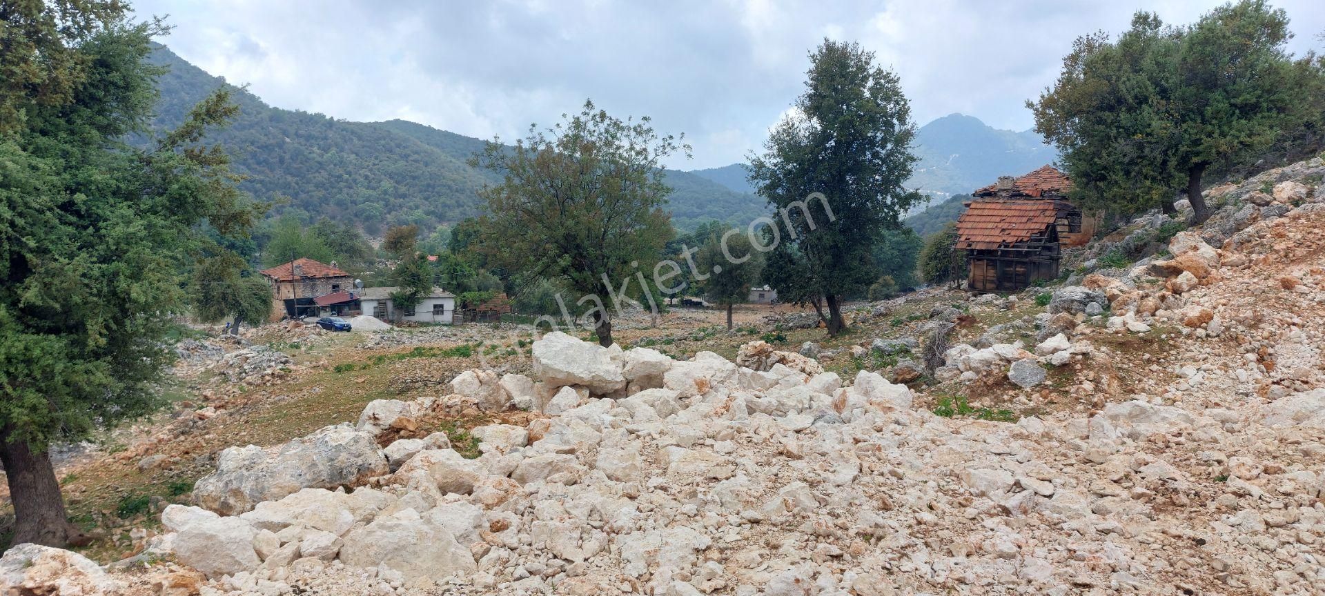 Yerleşimde Ormana Komşu Yollu Hakim Konumda Sahil 20 Dk - Görsel 5