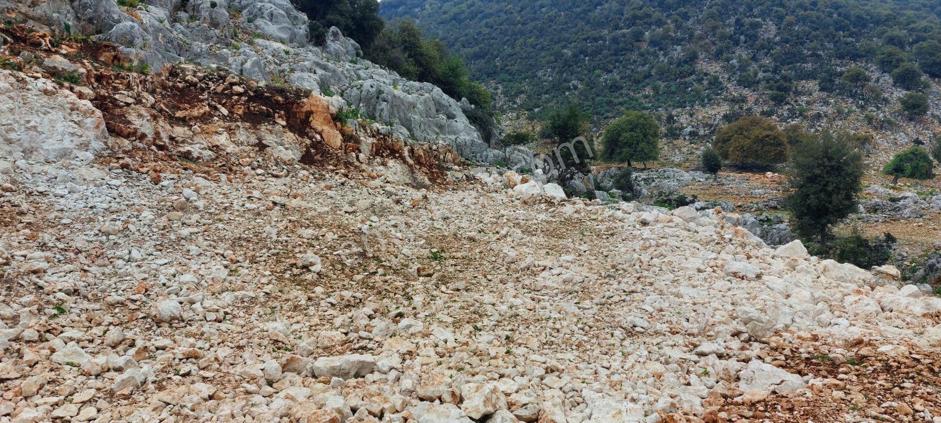 Yerleşimde Ormana Komşu Yollu Hakim Konumda Sahil 20 Dk - Görsel 10